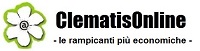 Visita ClematisOnline.it